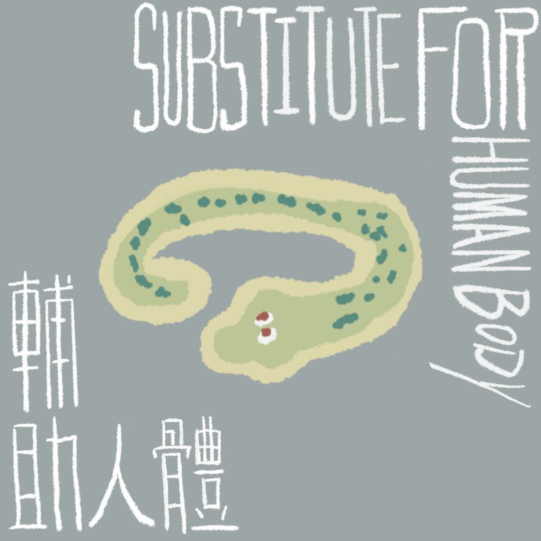 辅助人体