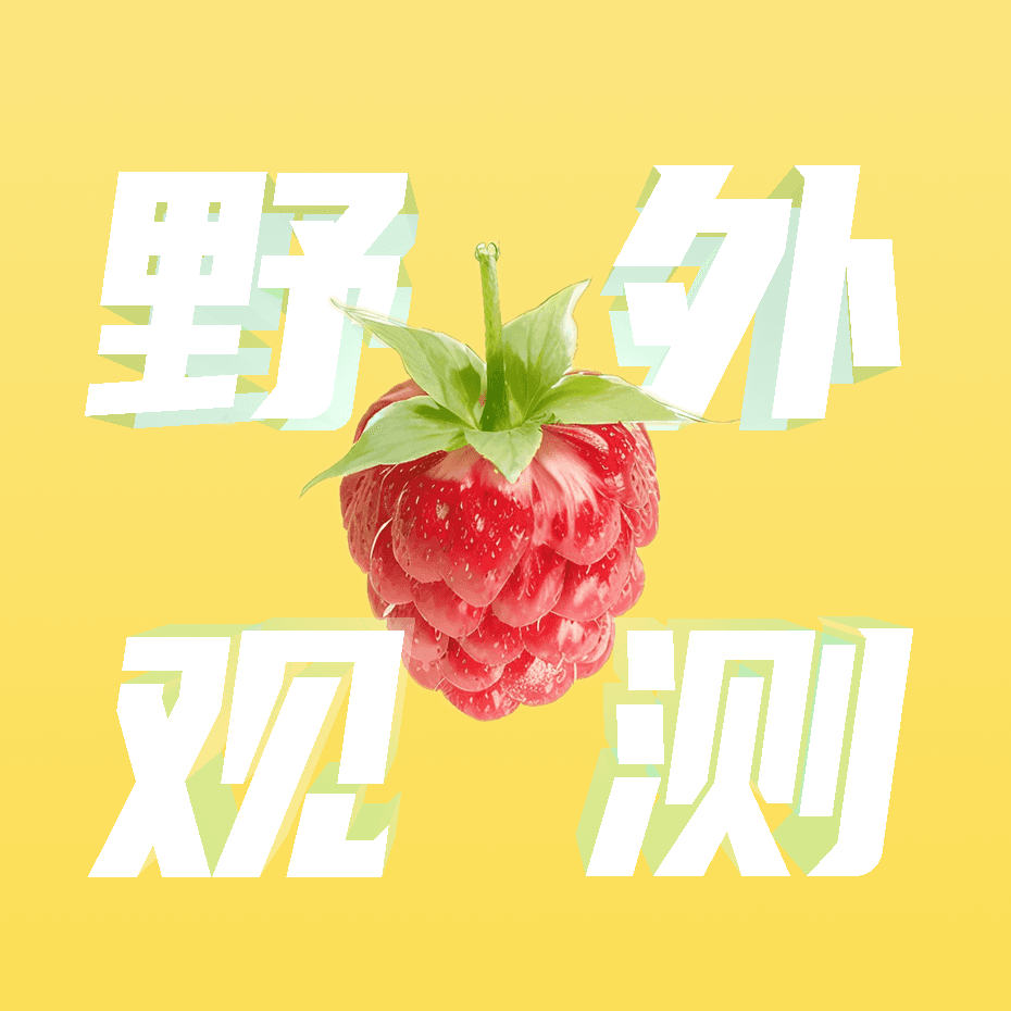 野外观测