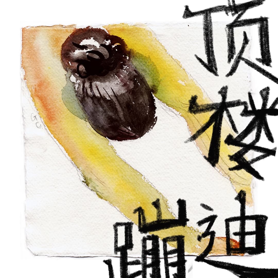 顶楼蹦迪ModernSeaweed