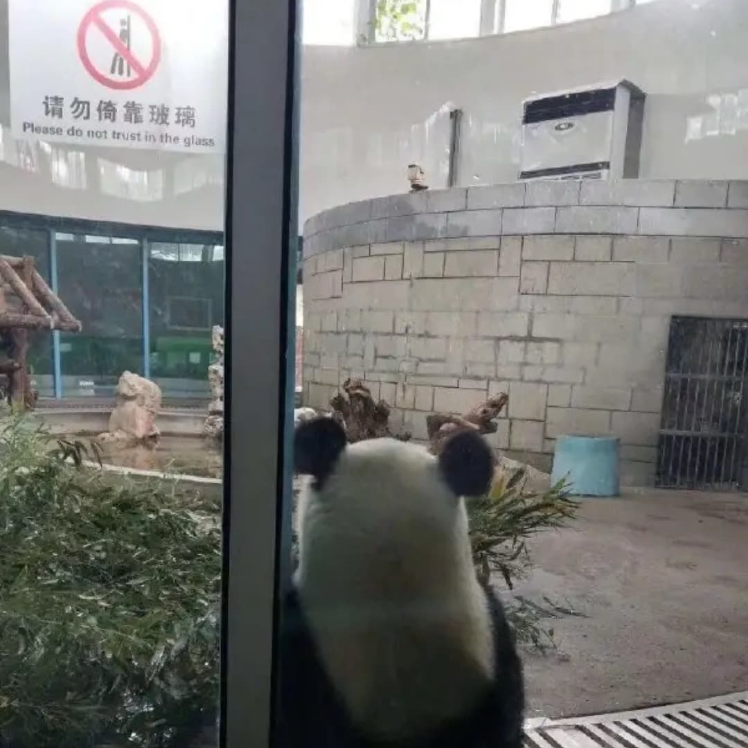 下课去哪玩