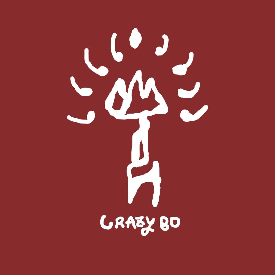 光波CrazyBo