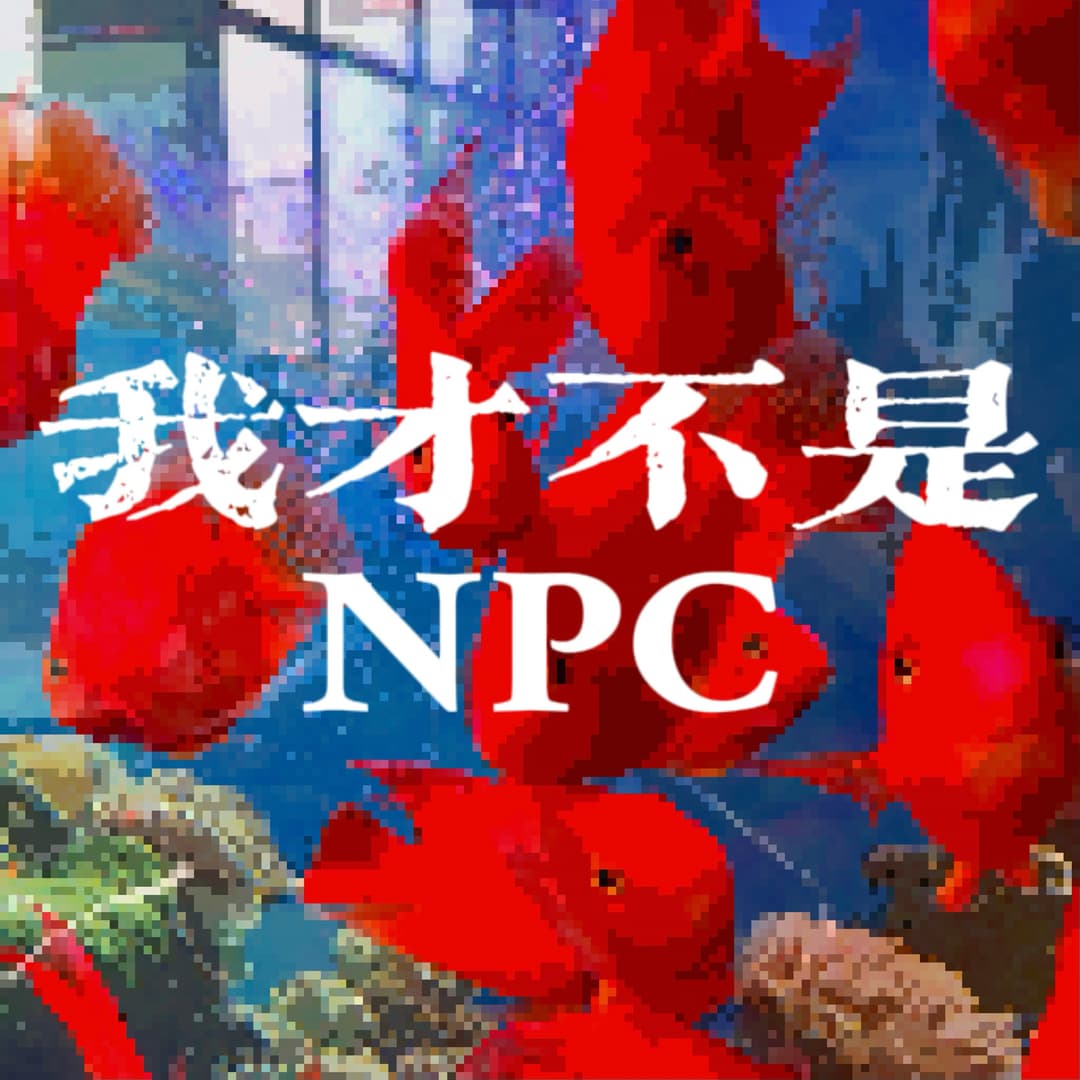 我才不是NPC