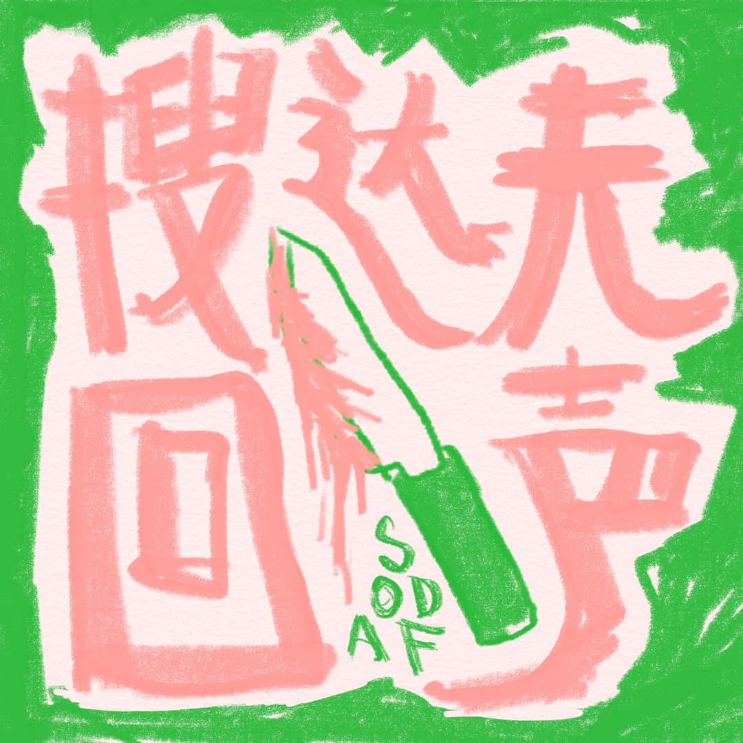 搜达夫回声