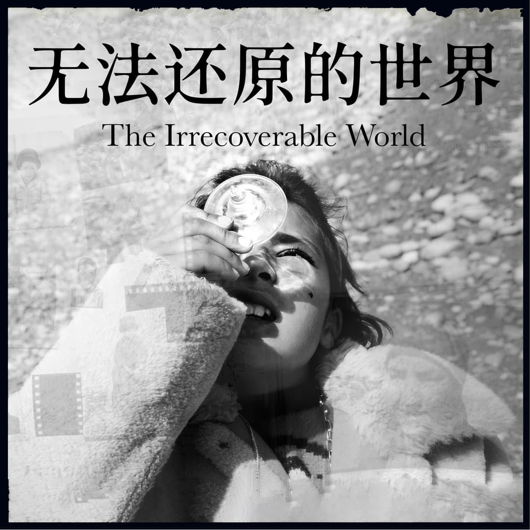 无法还原的世界