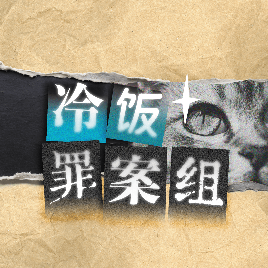 冷饭罪案组