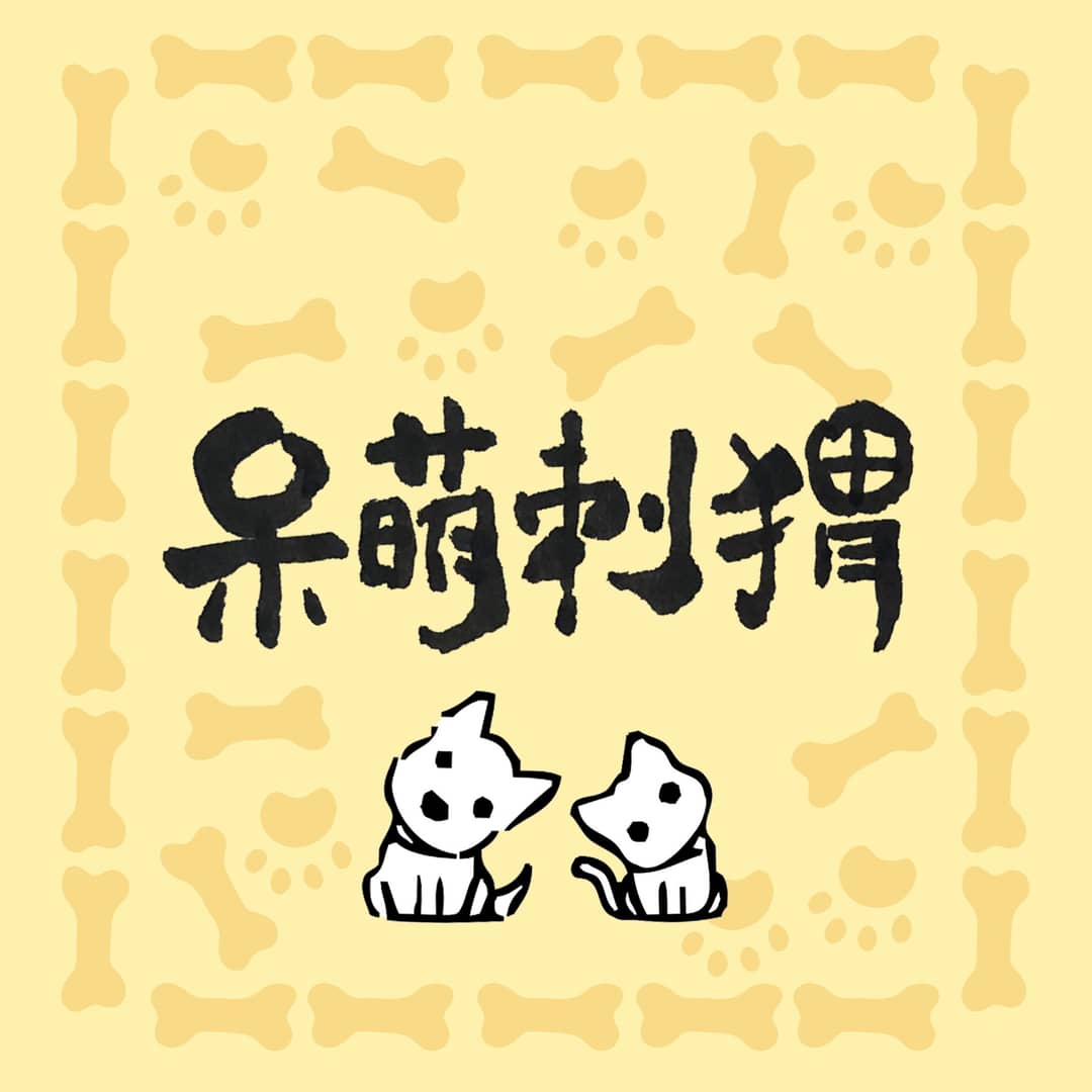 呆萌刺猬|分享宠物的故事与生活