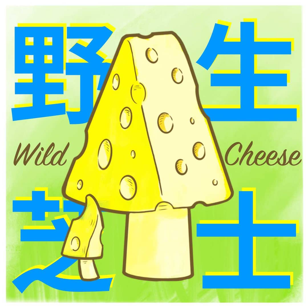 野生芝士WildCheese(加墙版)
