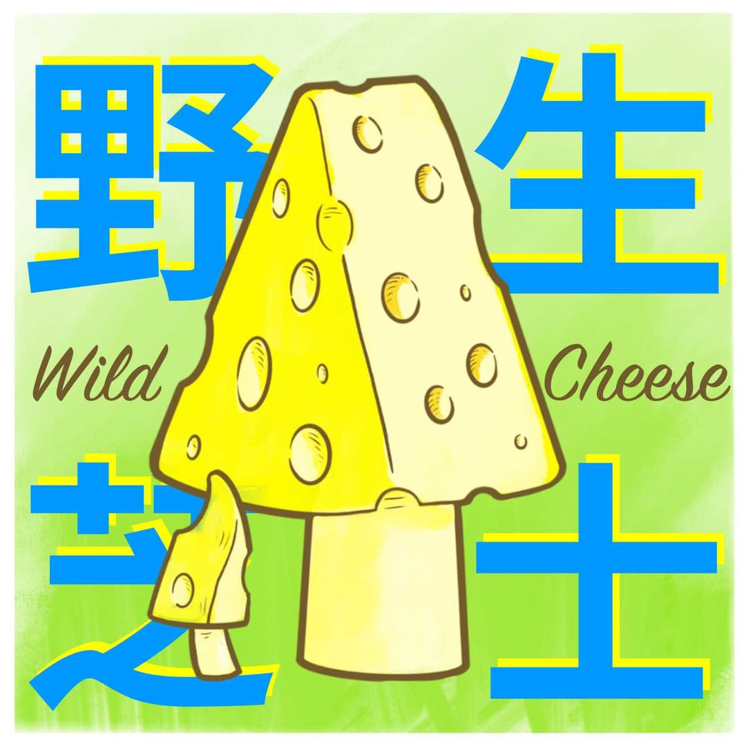 野生芝士WildCheese(加墙版)