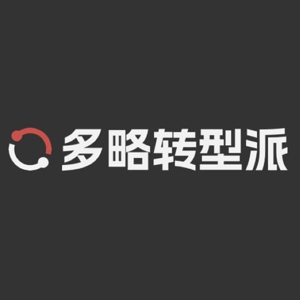 多略转型派
