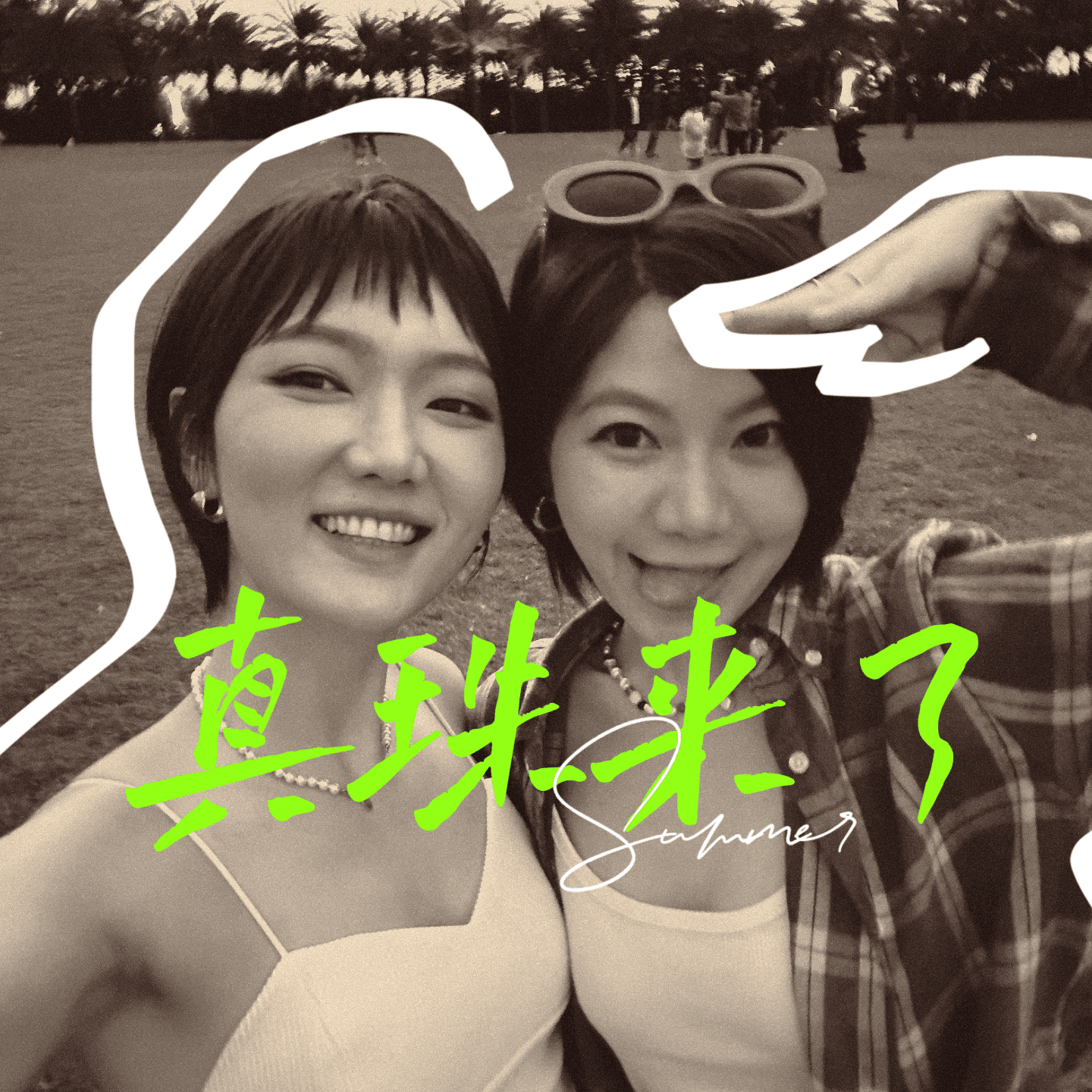 真珠来了